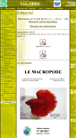 Mobile Screenshot of cil-ibsc.fr